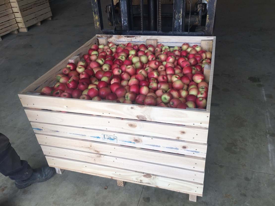 Fruit Picking Bins & Crates for Sale Wooden Fruit Crates