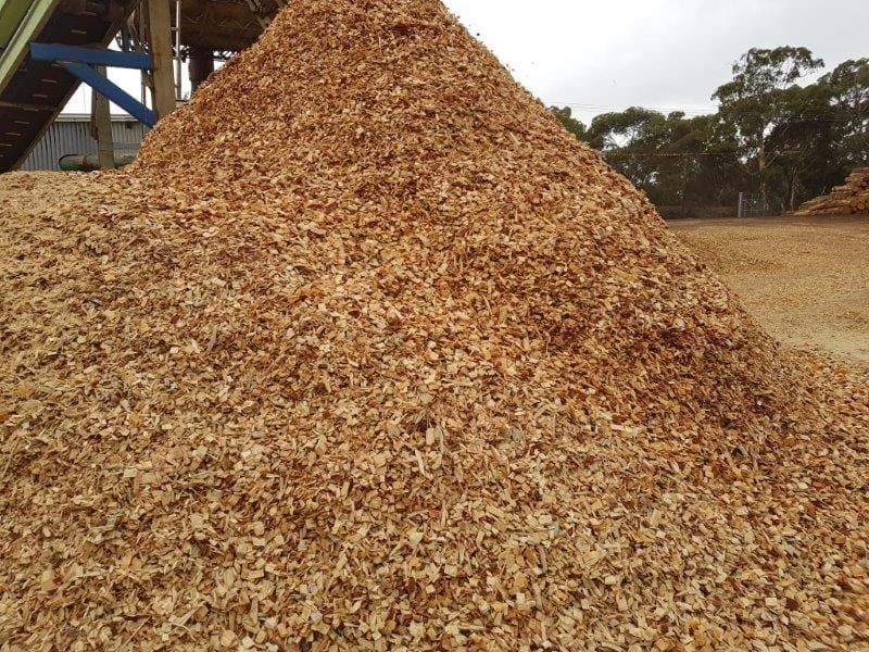 Pinewood Timber For Sale Pine Wood Prices Enquire Online pinewood-timber-for-sale-pine-wood-prices-enquire-online