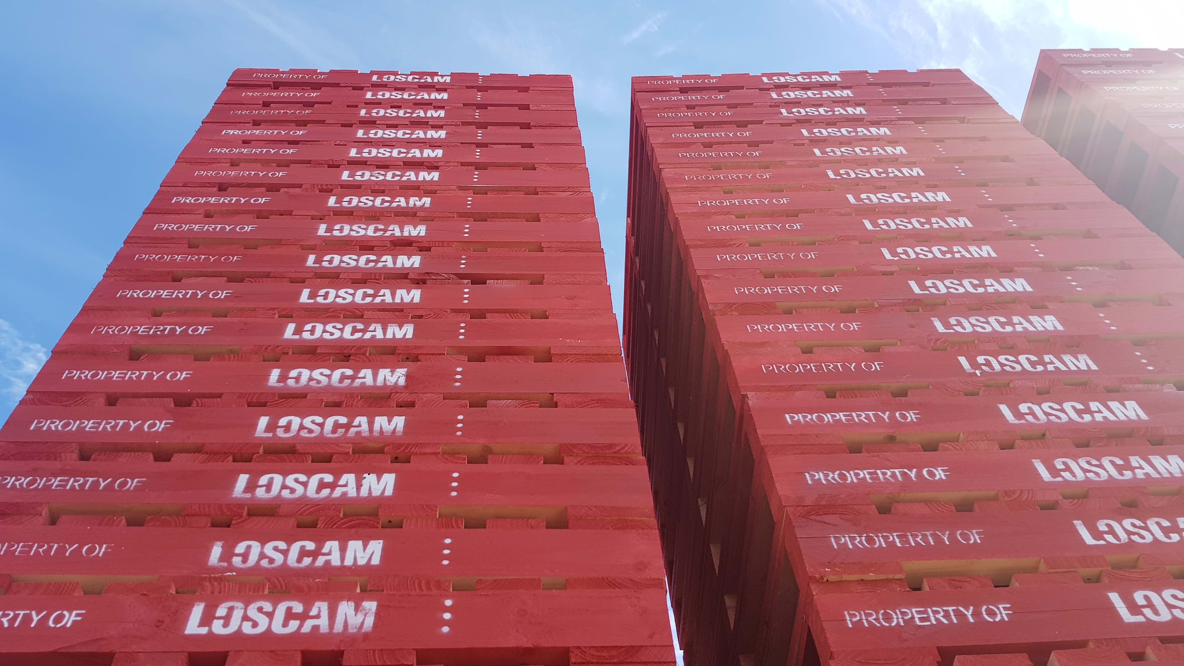 Potato Bins for Sale Australia Vegetable Bins & Planter Box