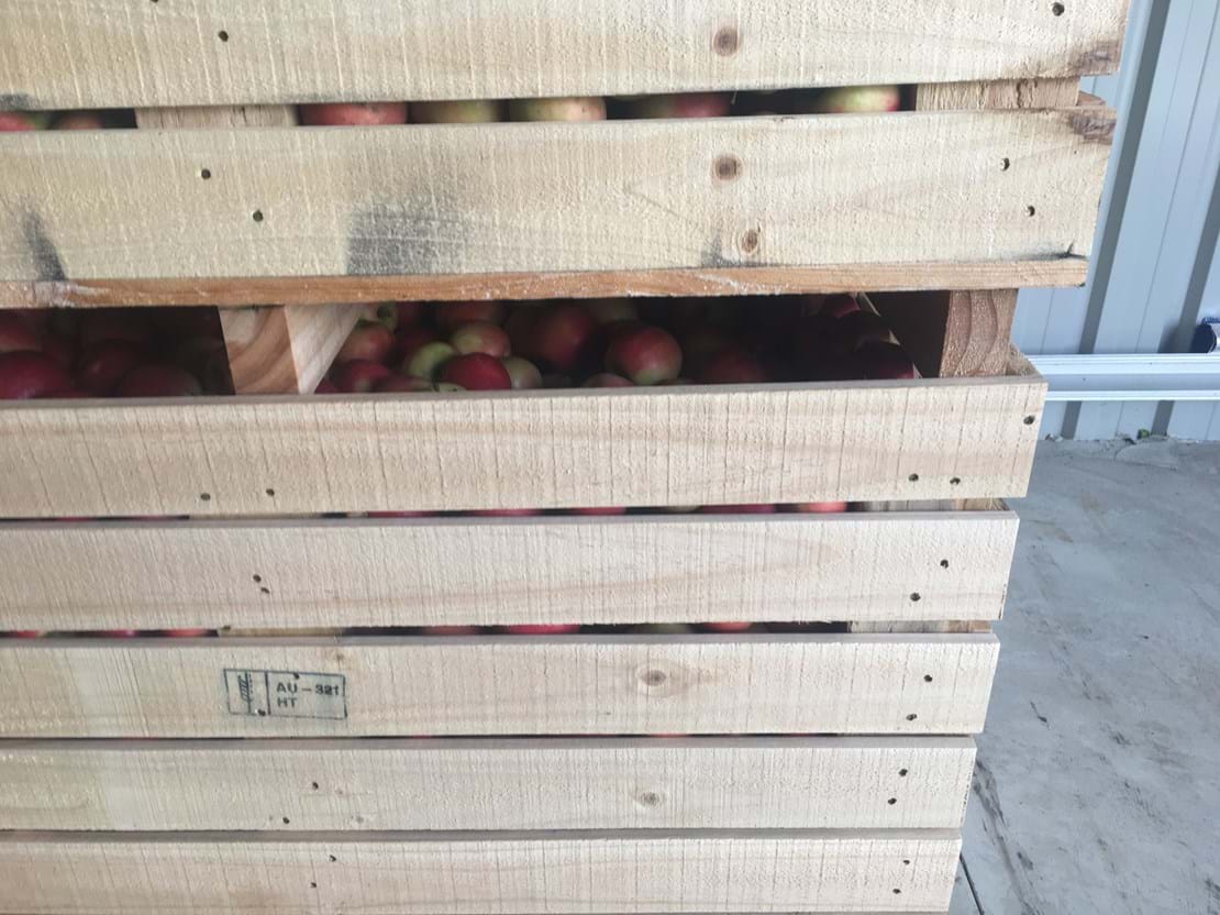 Fruit Picking Bins & Crates for Sale Wooden Fruit Crates