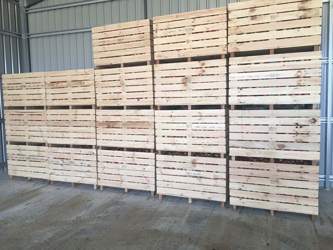 Fruit Picking Bins & Crates for Sale Wooden Fruit Crates