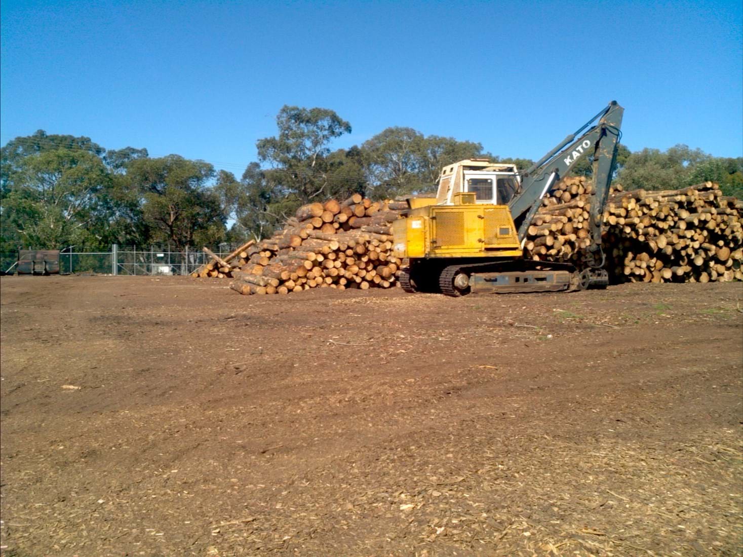 Pinewood Timber For Sale Pine Wood Prices Enquire Online silicone-steam-hose-per-metre-lynx-dry-cleaning-supplies-ltd