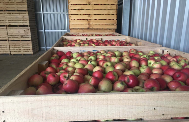 Apple crates hot sale for sale